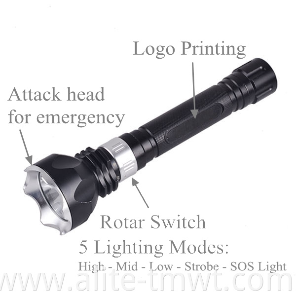 High Power IP68 flashlight waterproof Scuba LED diving flashlight torch 10000 lumen